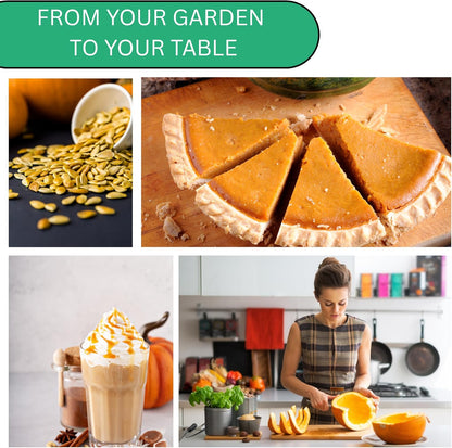Woods Creek Seeds: Jack O Lantern Pumpkin Seeds for Planting - Over 40 Heirloom Non-GMO Pumpkin