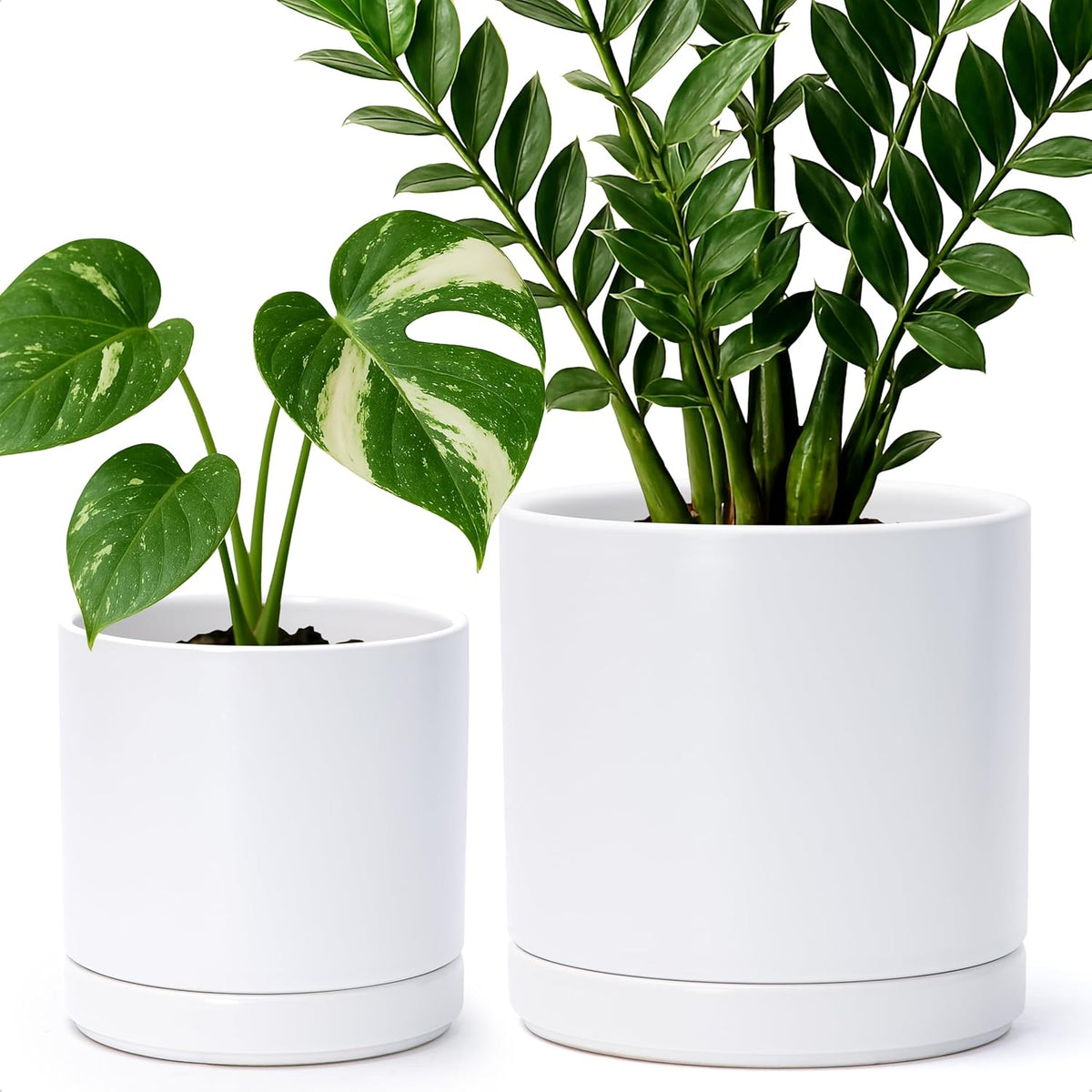 D'vine Dev 6.5 Inch & 8.2 Inch Ceramic Planter Pots for Plants with Drainage Hole and Saucer