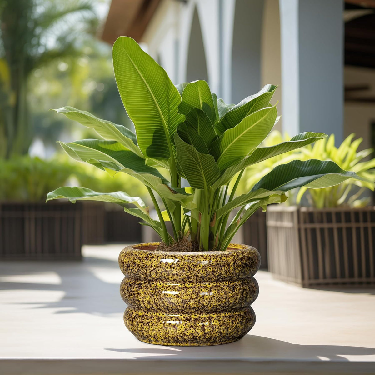 SQOWL Ceramic Pots for Plants - 13.5 Inch Ceramic Planter for Indoor Plants, Large Plant Pots with