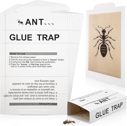 Qualirey Ant Traps Indoor, Upgraded Peanut Butter Scented, Larger 10pcs Ant Spider Cockroach