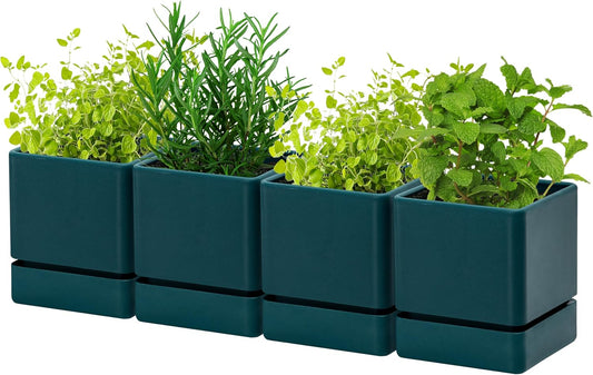 4 Inch Herb Planter Pot, Plastic Planter with Drainage Holes and Saucer, Modern Decorative