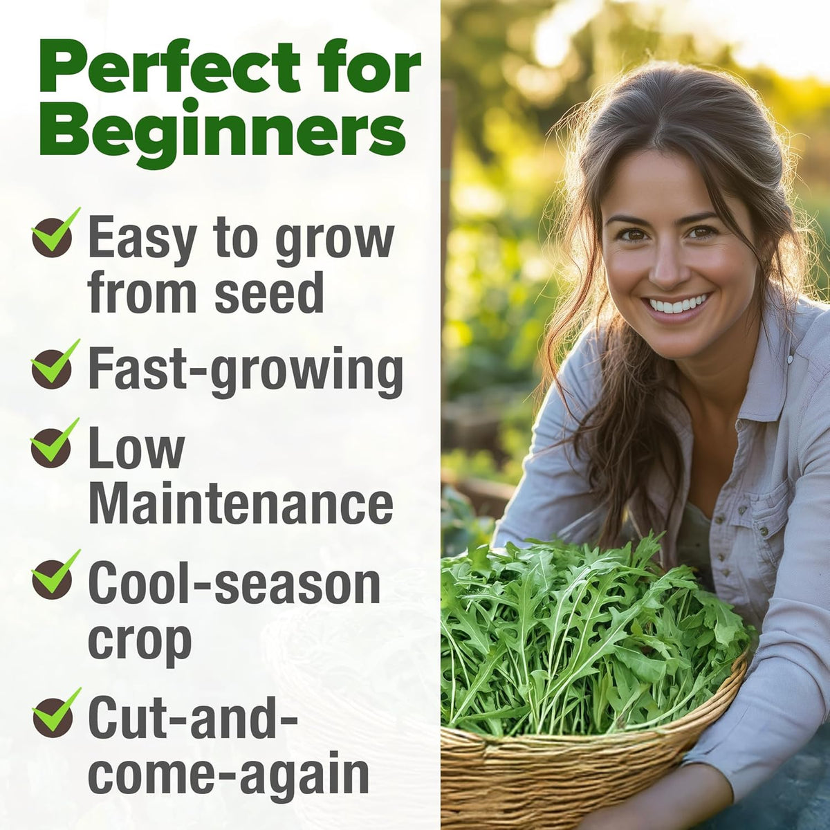 HOME GROWN Arugula Seed 2 Pack – 4350 𝗡𝗢𝗡-𝗚𝗠𝗢 𝗨𝗦𝗔 Vegetable Seeds – Ideal Seeds for