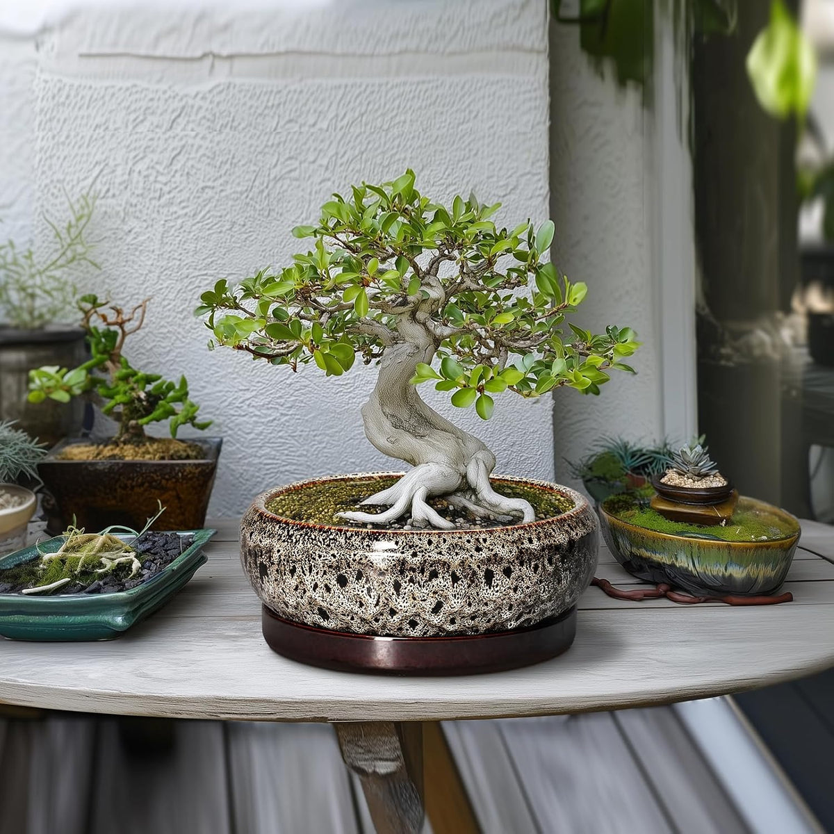 Succulent Pots 10 Inch - Ceramic Bonsai Pots with Drainage Hole and Tray, Large Succulent Planters
