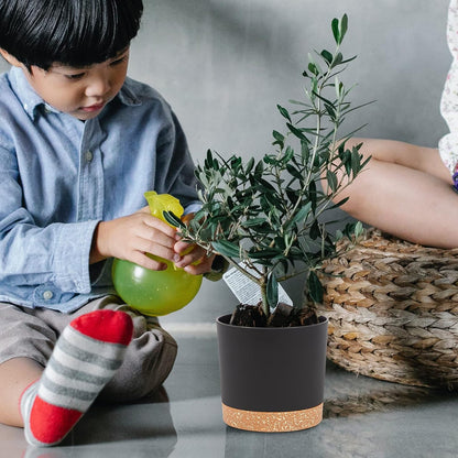 QCQHDU 5 inch Plant Pot, 2 Pack Planters for Indoor Plants with Drainage Holes & Saucer, Outdoor