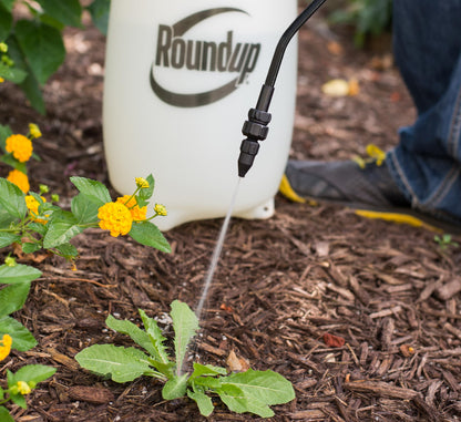 Roundup 190260 2-Gallon Lawn and Garden Sprayer for Controlling Insects and Weeds or Cleaning Decks