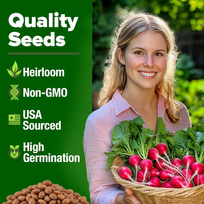 HOME GROWN 𝗨𝗦𝗔 𝗣𝗥𝗘𝗠𝗜𝗨𝗠 Cherry Belle Radish Seeds 800+ 𝗡𝗢𝗡-𝗚𝗠𝗢 Heirloom Vegetable