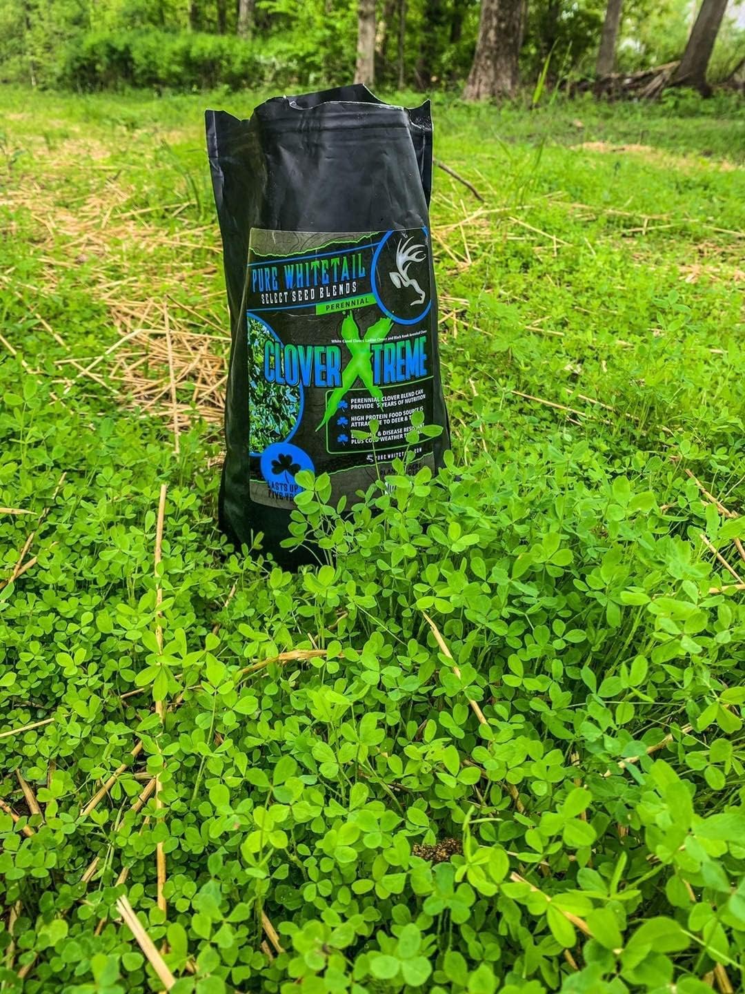 Pure Whitetail Clover Xtreme | Select Seed Blends | Whitetail Deer & Turkey Perennial Clover Seed