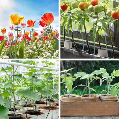 20 Pack 16 Inch Plant Support Stakes, Metal Single stemmed Flower Support Hoops，Garden Plant Stakes