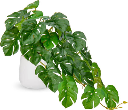 DILATATA Fake Plants Indoor 8 Inch Artificial Monstera Plant in White Ceramic Pot - Faux Potted