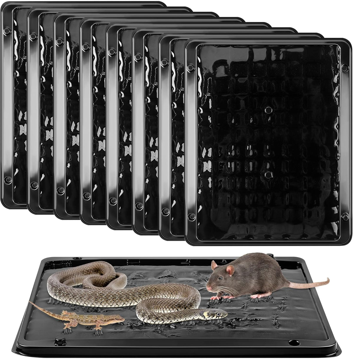 Qualirey 8 Pack Jumbo Rat & Mouse Glue Traps, 11.8 X 9.84 in Large Heavy Duty Mouse Traps Indoor