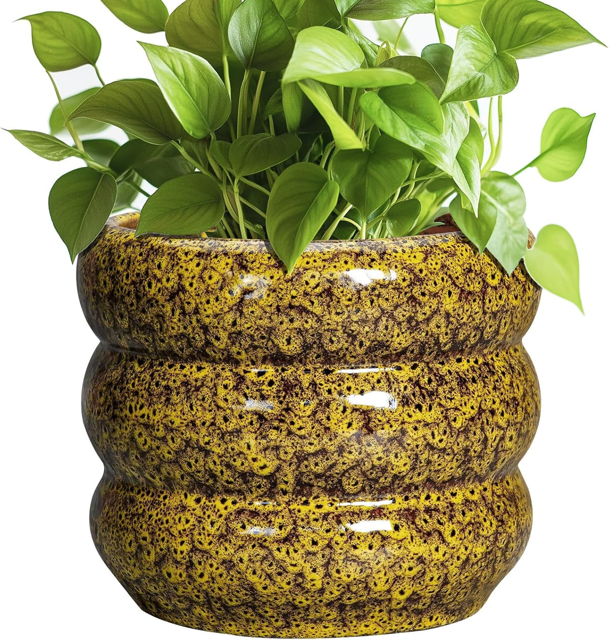 SQOWL Ceramic Planter - 8 Inch Indoor Plant Pot with Drainage Hole, Round Planter for Outdoor