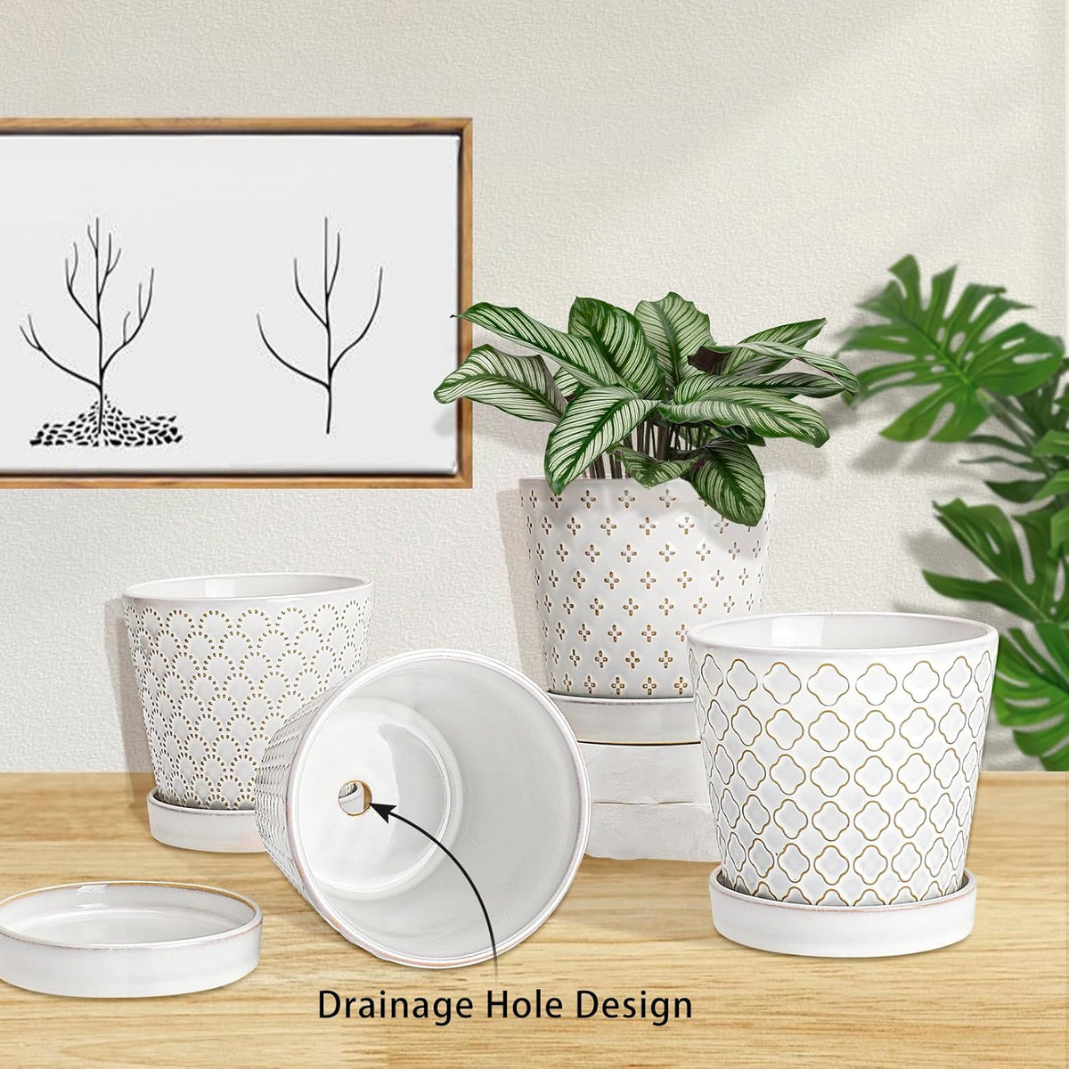 EFISPSS Ceramic Plant Pots Indoor, 5 Inch Planters with Drainage Holes and Ceramic Tray, Relief
