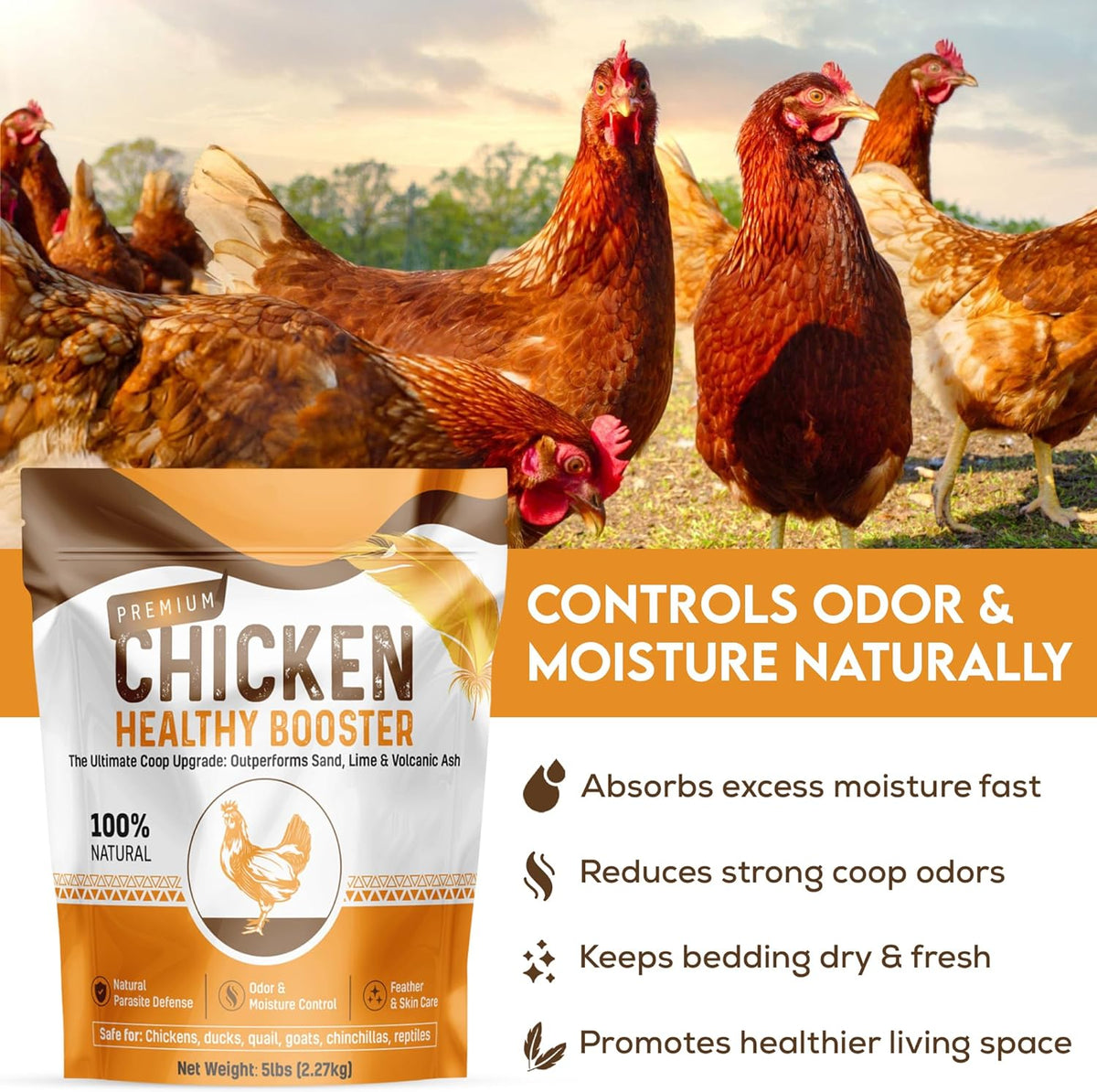 Chicken Dust Bath Sand Mix – Natural Poultry Dust for Feather & Skin Care | Diatomaceous Earth