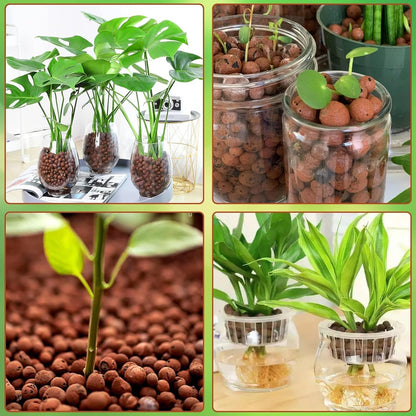 Halatool 12LB Expanded Clay Pebbles for Potted Plants Organic Lightweitht Clay Leca Balls for