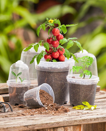 homenote Clear Nursery Pots for Plants,3/4/5 Inch Plant Pot for Planting with Humidity Domes