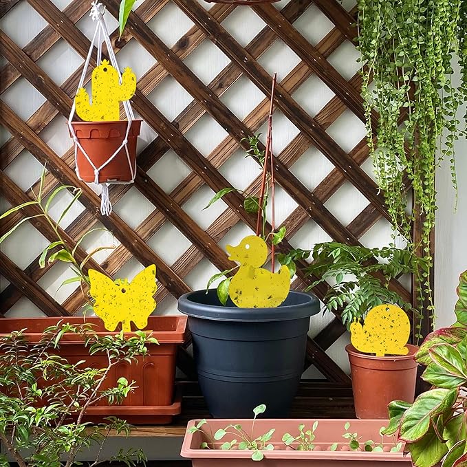Gideal 48-Pack Dual-Sided Yellow Sticky Traps for Indoor/Outdoor Use, Gnat Trap for Flying Plant