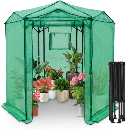 EAGLE PEAK 6.6x6.6 ft Hexagon Pop up Greenhouse, Portable Walk-in Grow Tent for Seed Starting