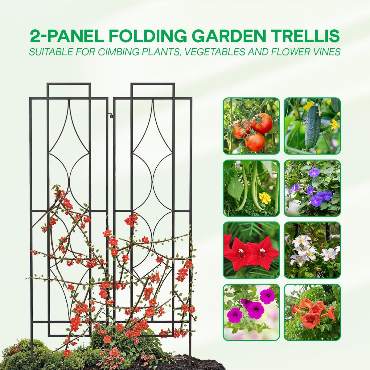 IDZO 2-Piece Diamonds Design Decoration Trellis, Metal Decorative Trellis for Climbing Plants