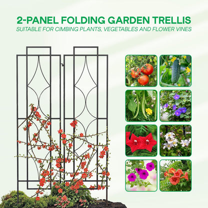 IDZO 2-Piece Diamonds Design Decoration Trellis, Metal Decorative Trellis for Climbing Plants