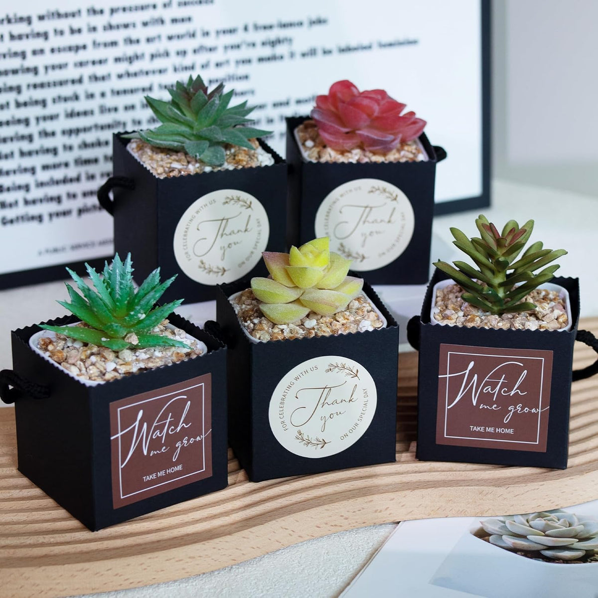 Temlum 2.5 Inch Succulent Wrap Bags (Fits 2.5″ Pots) with Thank You & Watch Me Grow Stickers, Small