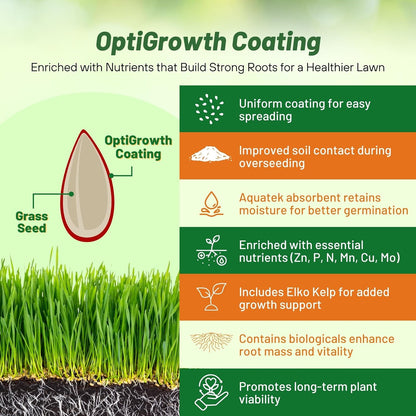 Outsidepride Combat Extreme Transition Zone Grass Seed Blend for Lawn 25 lbs - Fine, Medium Leaf