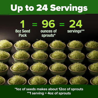 HOME GROWN Alfalfa Sprouting Seeds - Non-GMO USA-Sourced Heirloom Bulk Sprout Seed for Microgreens