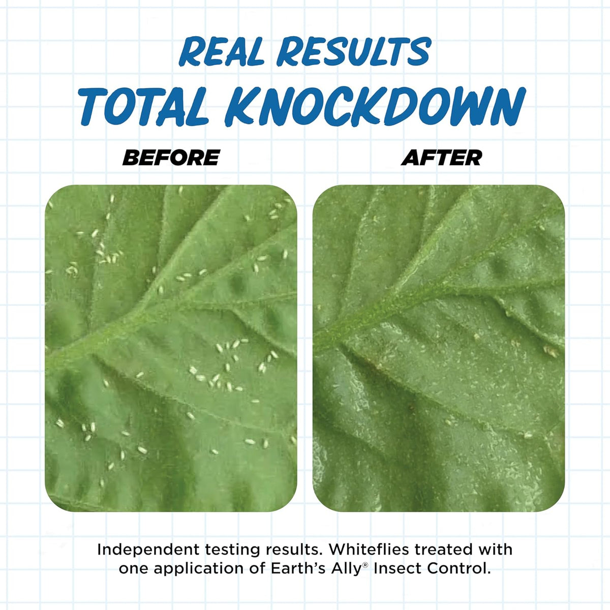 Earth's Ally Insect Control for Plants Ready-to-Use 24 oz | Safe Outdoor & Indoor Plant