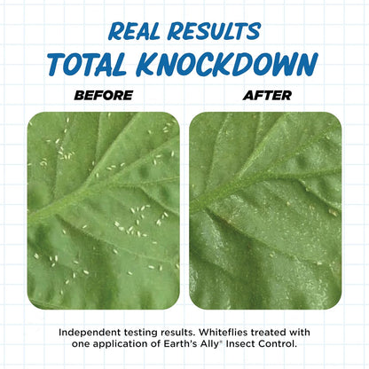 Earth's Ally Insect Control for Plants Ready-to-Use 24 oz | Safe Outdoor & Indoor Plant