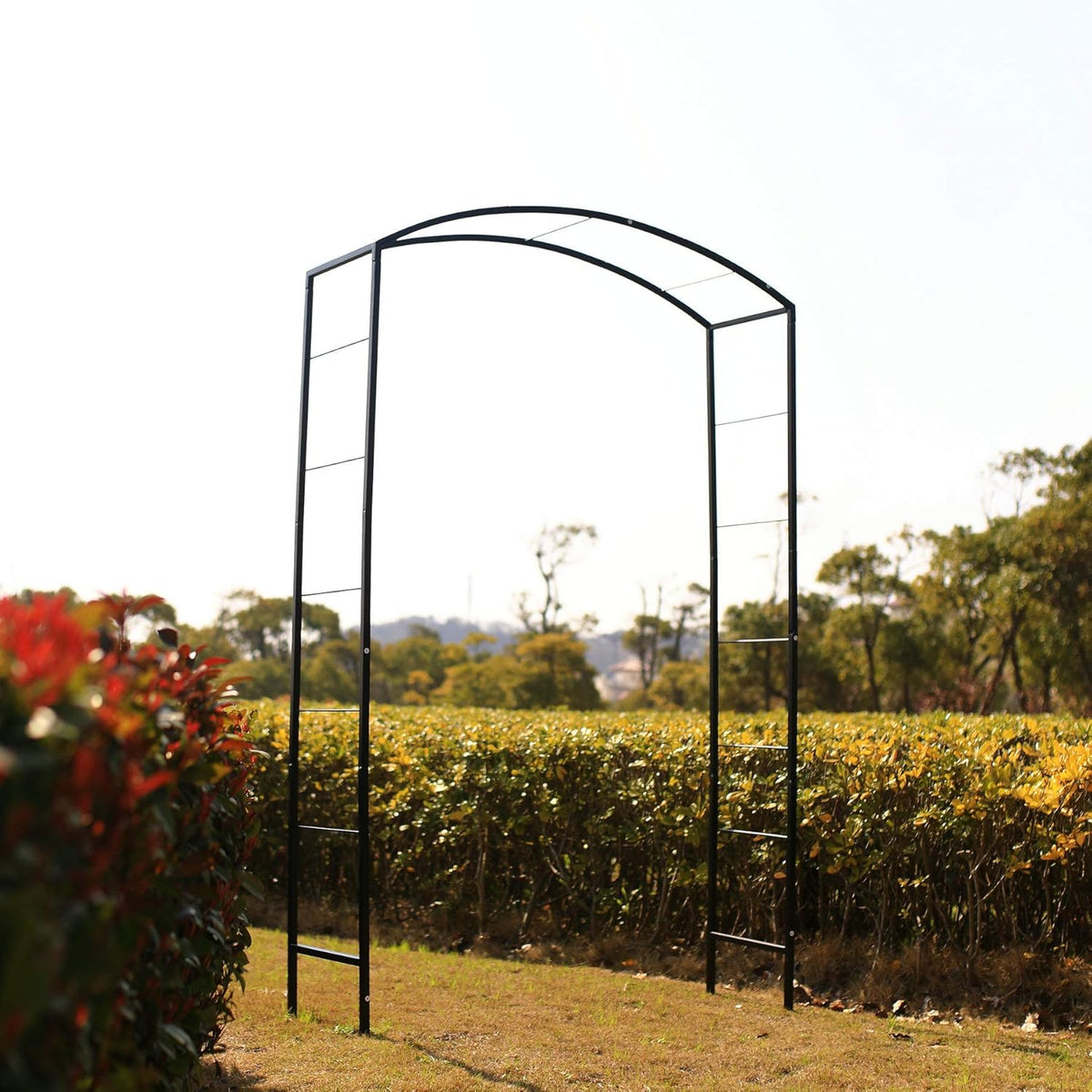 Steel Garden Arch, 7'2" High x 4'7" Wide, Garden Arbor for Various Climbing Plant, Outdoor Garden