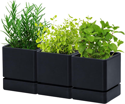 4 Inch Herb Planter Pot, Plastic Planter with Drainage Holes and Saucer, Modern Decorative