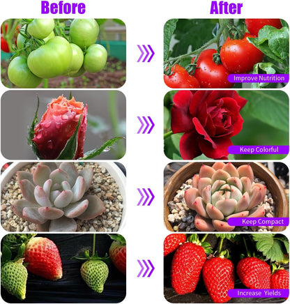 Grow Lights Upgrade 168 LEDs Clip Plant Lights for Indoor Plants, Full Spectrum White+ Red LED