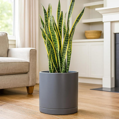 D'vine Dev 12 Inch Ceramic Planter Pot with Drainage Hole and Saucer, Indoor Cylinder Round Planter
