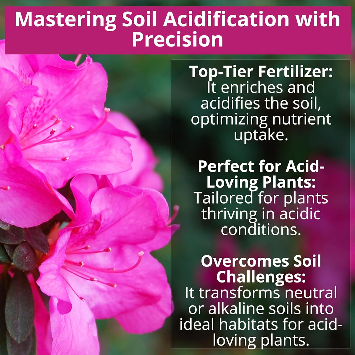 8-4-8 Acidic Fertilizer for Azaleas, Camellias (Camelia), Hydrangeas, Blueberries, Gardenias
