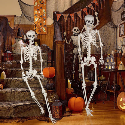 Halloween Skeleton, Realistic Life Size Skeleton with Movable Joints for Halloween Party Haunted