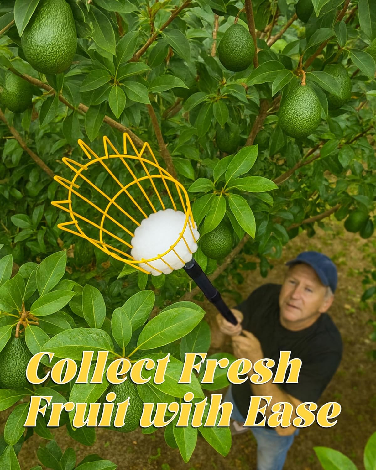 6.5FT Fruit Picker, Apple Picker Tool with Adjustable Pole and Basket, Long Reach Mango Grabber