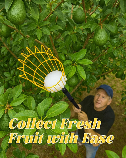 6.5FT Fruit Picker, Apple Picker Tool with Adjustable Pole and Basket, Long Reach Mango Grabber