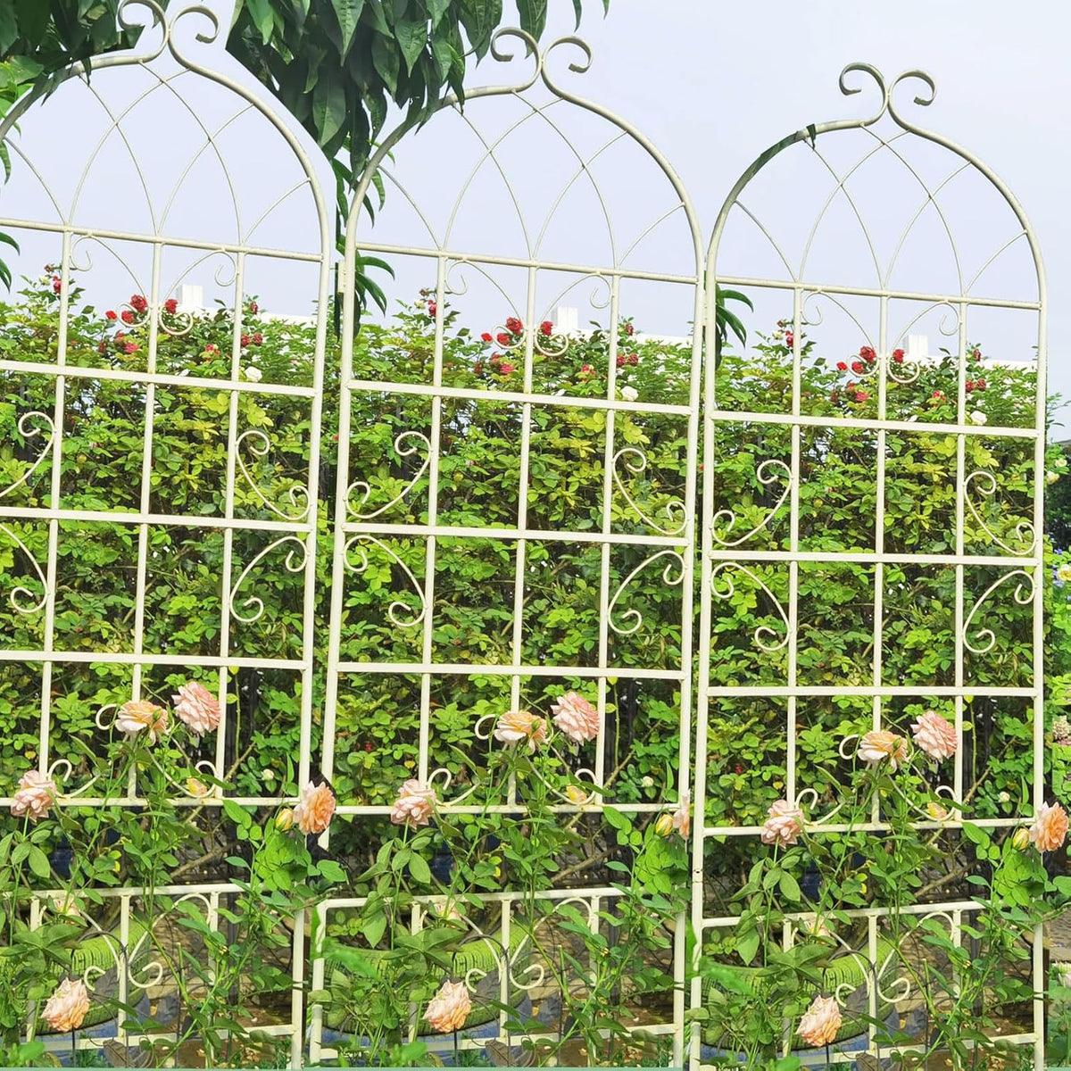 2 Pack Metal Garden Trellis 71" H Fence Rustproof Garden Trellis for Climbing Plants Support Roses