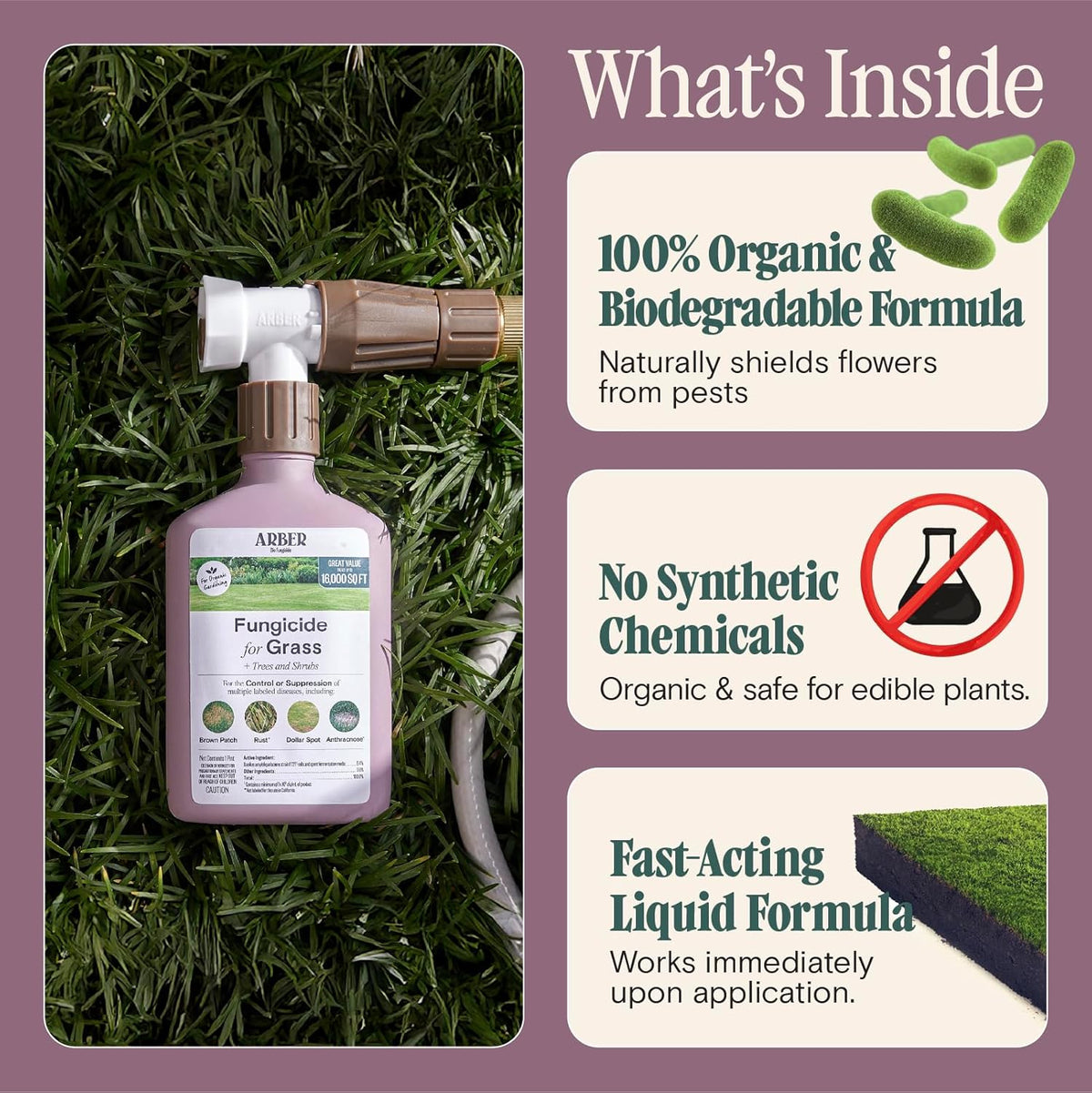 Organic Fungicide for Lawns, Trees & Shrubs – 16oz Ready-to-Spray – Lawn Fungicide for Brown Patch