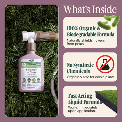Organic Fungicide for Lawns, Trees & Shrubs – 16oz Ready-to-Spray – Lawn Fungicide for Brown Patch