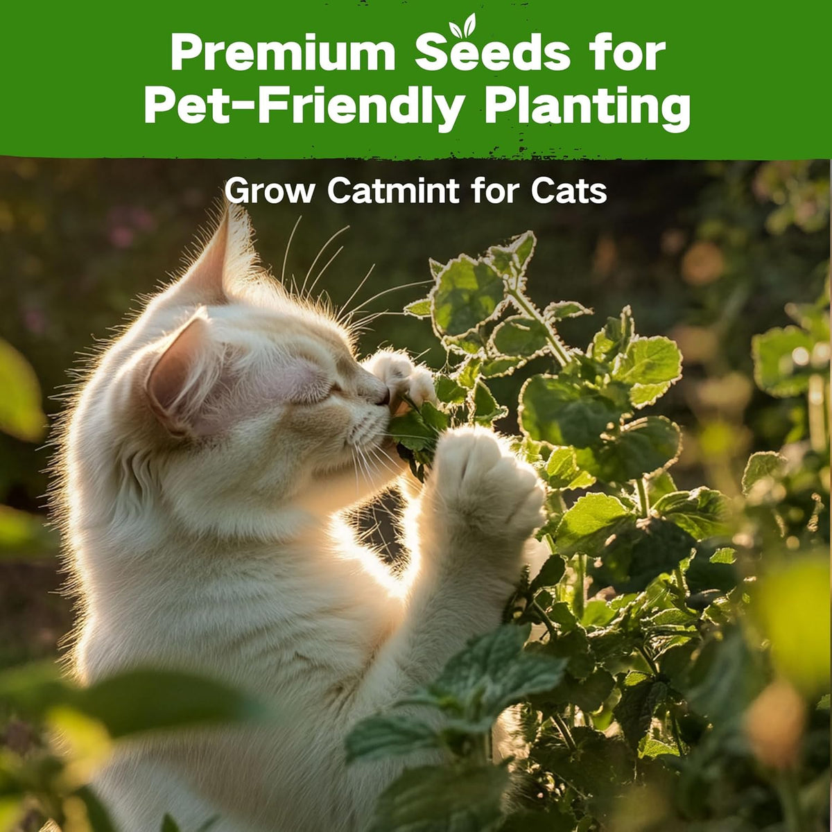 Lush&Dew Pet-Friendly Heirloom Seed Bank, Gardening Gifts for Women Men, 16 Varieties 15,000+