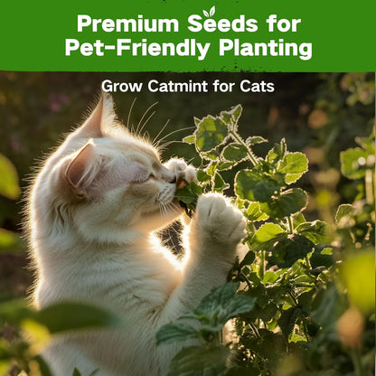 Lush&Dew Pet-Friendly Heirloom Seed Bank, Gardening Gifts for Women Men, 16 Varieties 15,000+