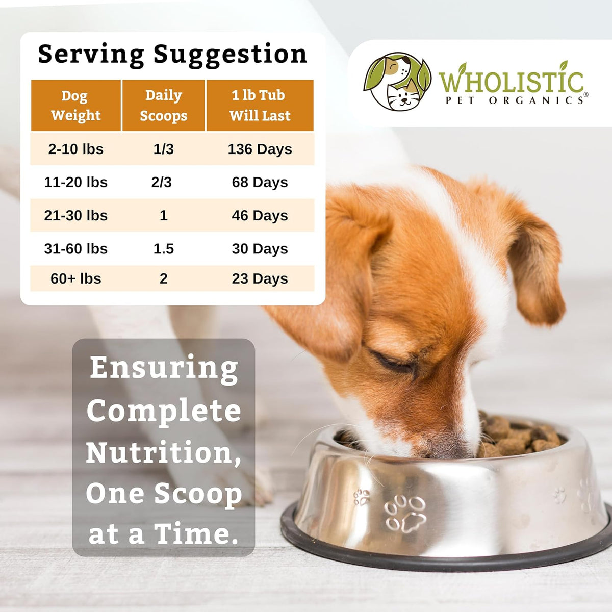 Wholistic Pet Organics Canine Complete - Dog Multivitamin Powder - 1 Lb - Daily Dog Vitamins and