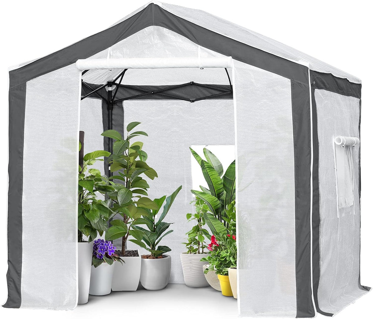 EAGLE PEAK 8x8 Portable Walk in Greenhouse with Polyester Reinforced Corners, Heavy Duty Instant