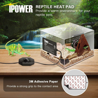 iPower 4 by 7 Inch Reptile Heating Pad with Temperature Adjustable Controller Knob, Under Tank