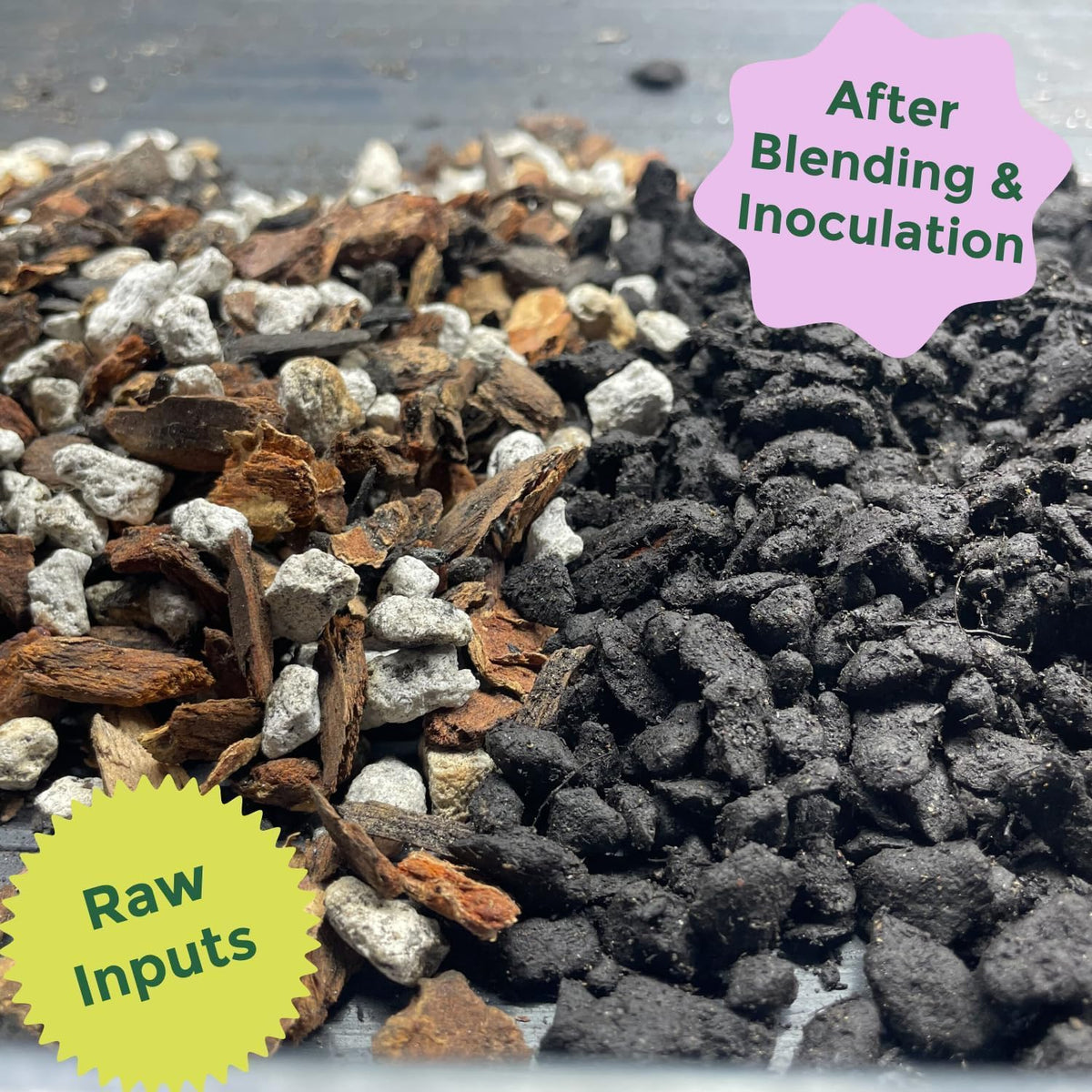 Cactus and Succulent Organic Potting Soil Mix for House Plants - Fast Draining, Root Boosting
