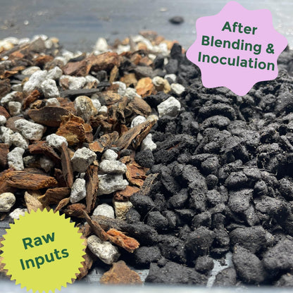 Cactus and Succulent Organic Potting Soil Mix for House Plants - Fast Draining, Root Boosting