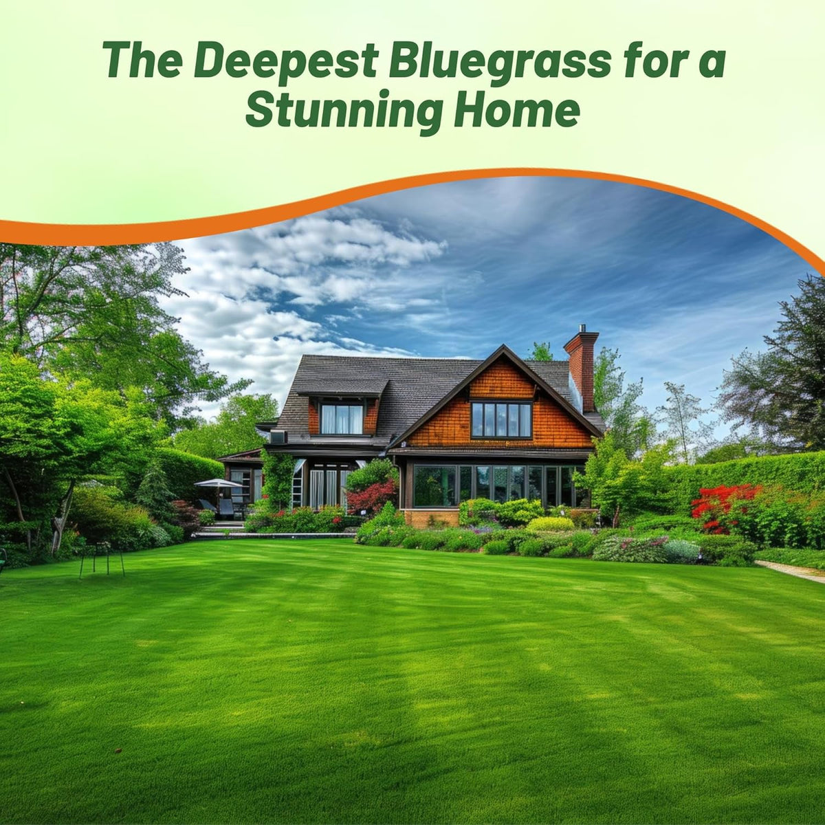 Outsidepride Midnight Kentucky Bluegrass Seed - 10 Lbs. Cold & Drought Tolerant, Sun-Loving Lawn