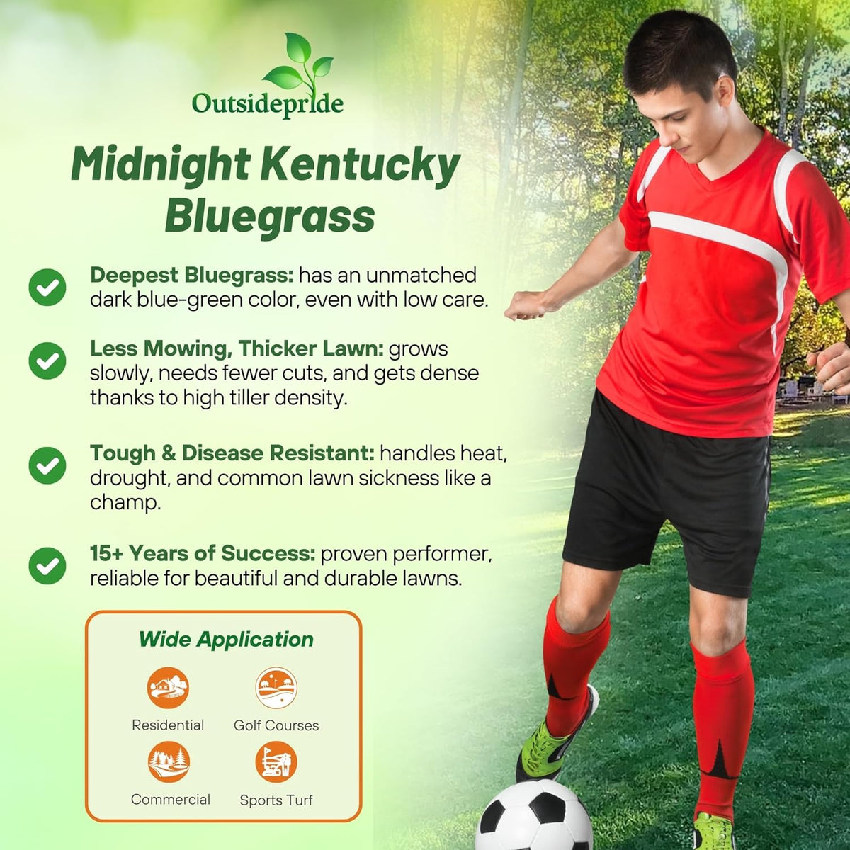 Outsidepride Midnight Kentucky Bluegrass Seed - 10 Lbs. Cold & Drought Tolerant, Sun-Loving Lawn