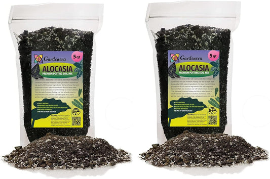 Gardenera Alocasia Plant Potting Soil - All-Natural Blend for Thriving Alocasia Plants - Boosts