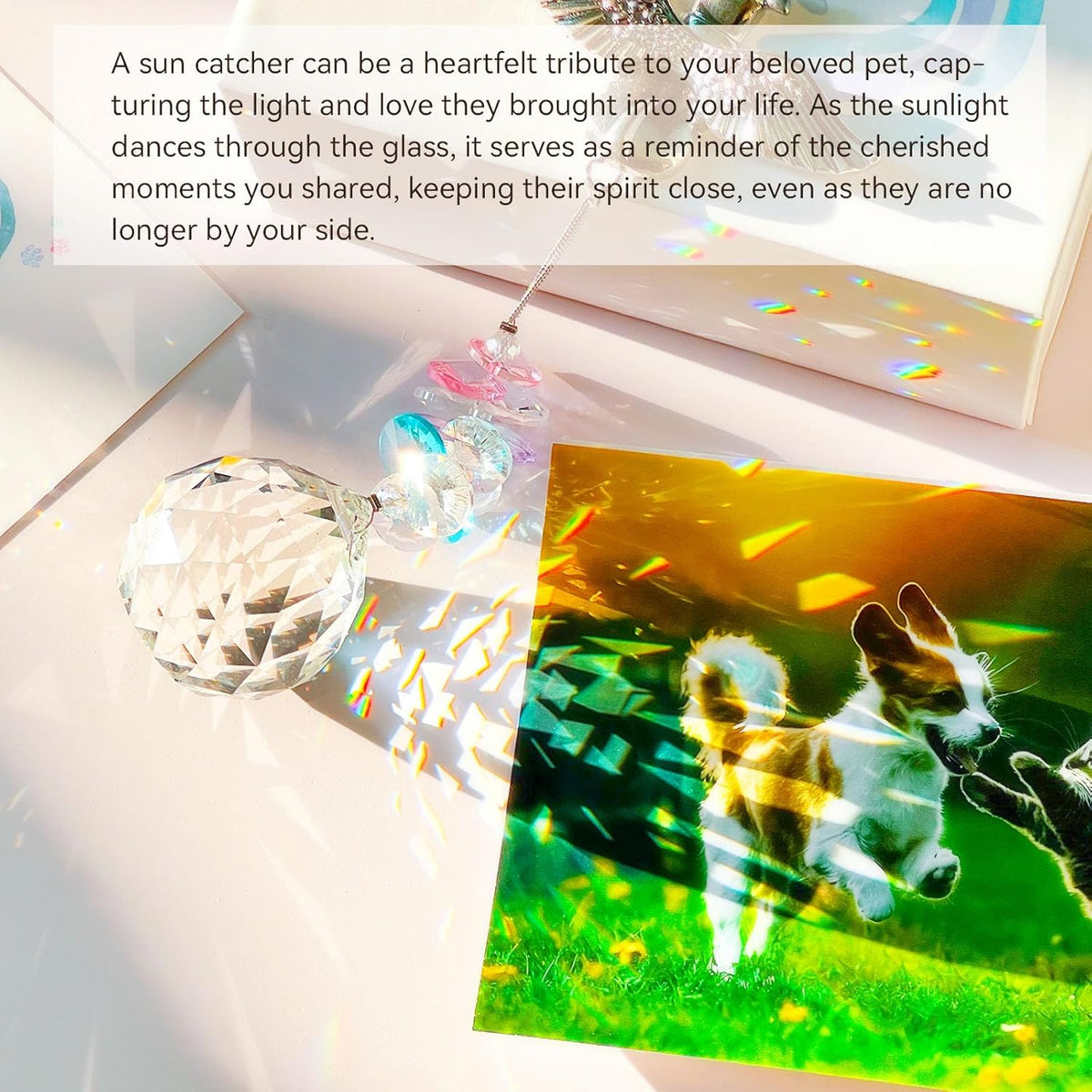 Loss of Dog Sympathy Gift - Dog Memorial Suncatcher, Pet Loss Sympathy Gifts, Passing Away